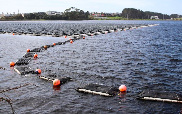 New Zealand’s first floating solar panel array on a treatment pond at the Rosedale wastewater treatment plant.